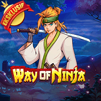 2026 Way of Ninja